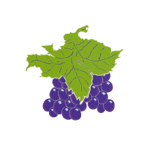 logo lacaveudugourmet91